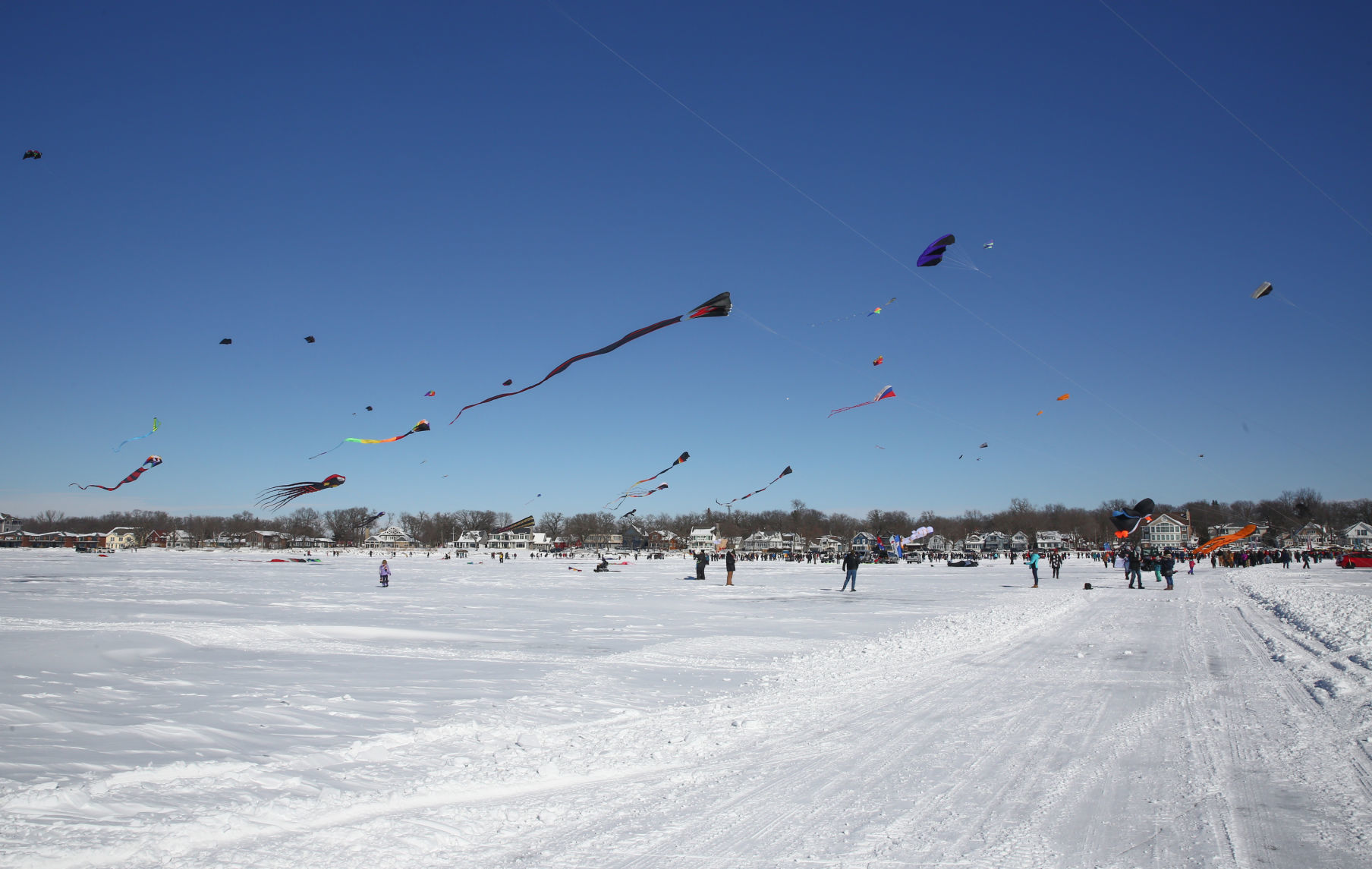 Color the Wind Kite Festival 2019 (15).jpg